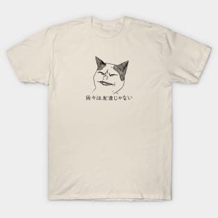 Angry Cat No Banana T-Shirt